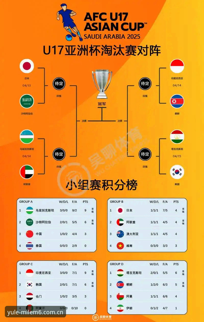 U17世界杯抽签结果深度分析：中国足球青训突围之路全面解析